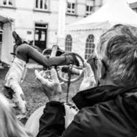 Bildquelle: Norder Sommerfest / Picslot | 