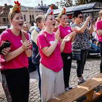 Bildquelle: Timo Jäger | Norder Sommerfest 2025