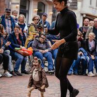 Bildquelle: Timo Jäger | Norder Sommerfest 2026