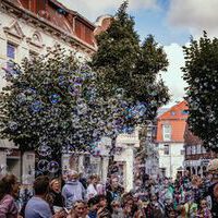 Bildquelle: Timo Jäger | Norder Sommerfest 2026